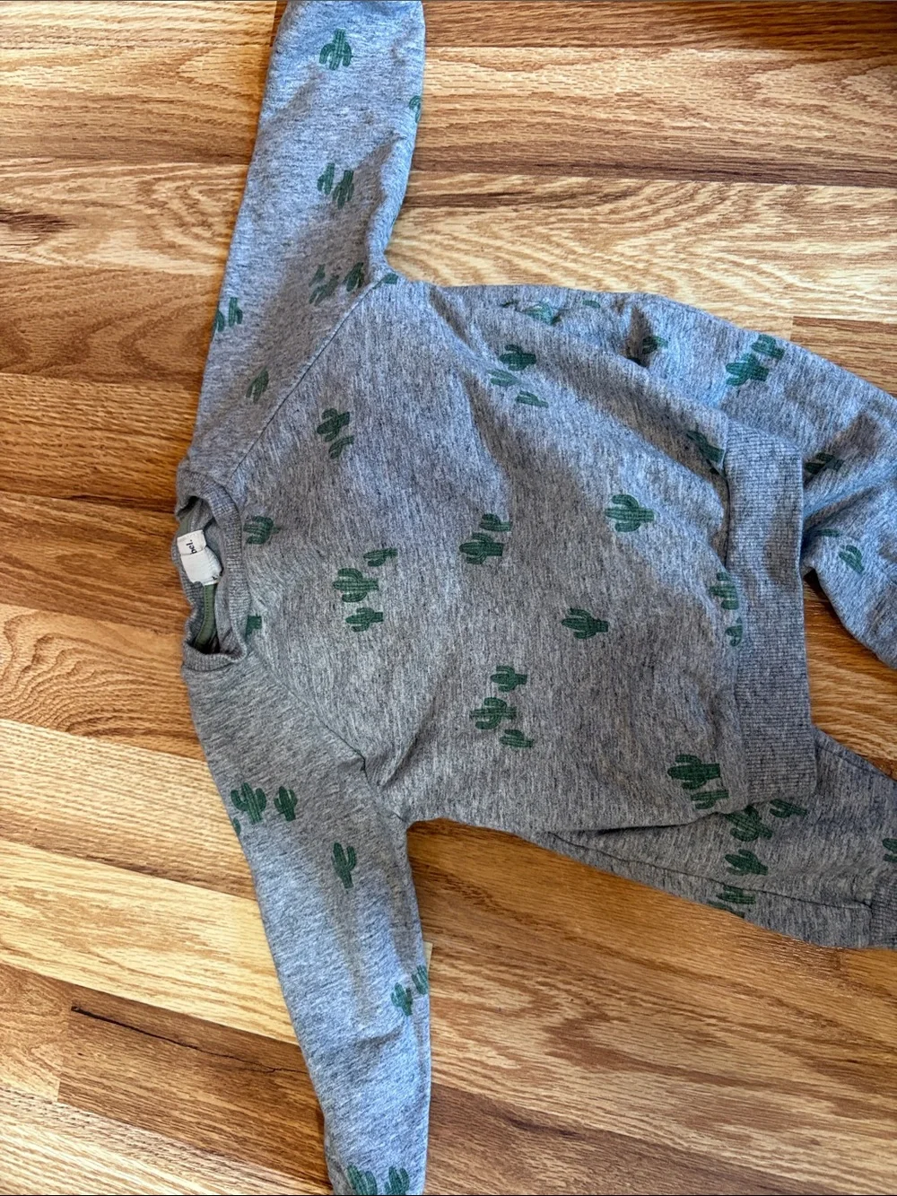 Miles the label set  12m Gray Cactus Sweatshirt & Jogger